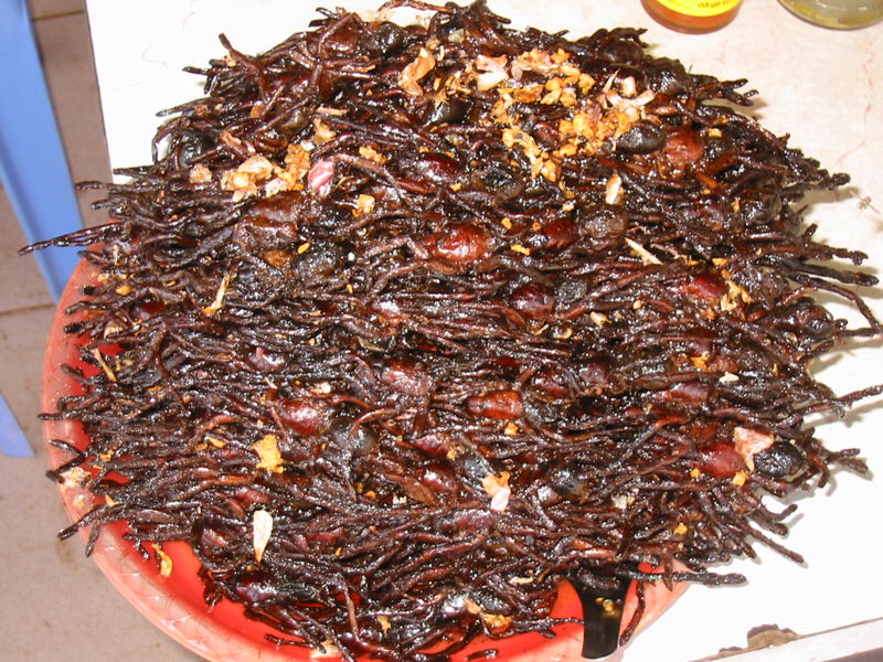 Fried Spiders, Cambodia