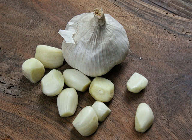 garlic