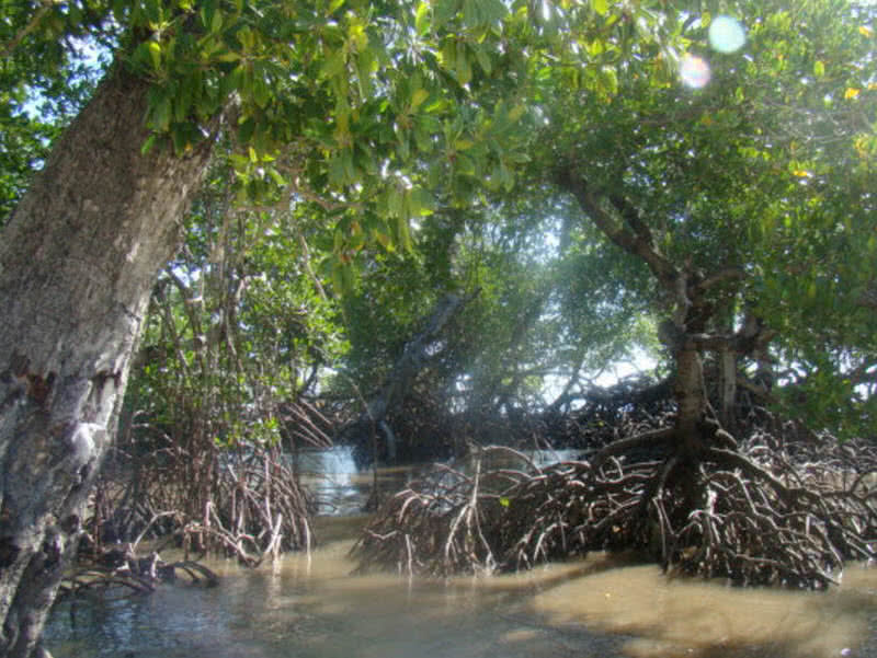 Papua NewGuinea