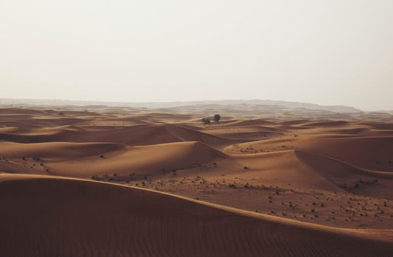 Sahara Desert