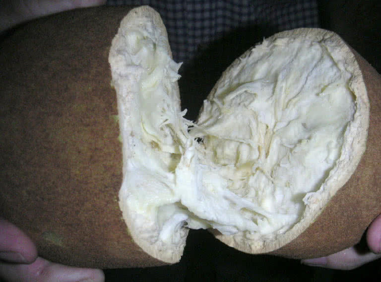 10 Rarest Fruits You Probably Haven't Even Heard Of The Mysterious World