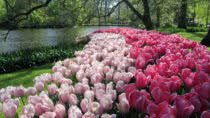 most beautiful gardens