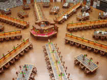 magnificent libraries