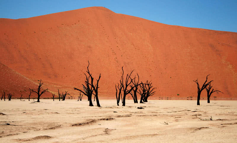 namib desert