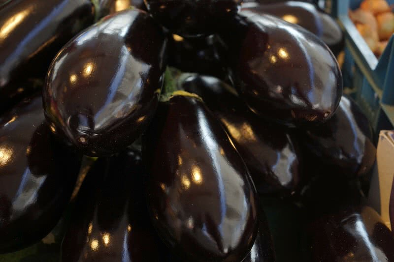 eggplant