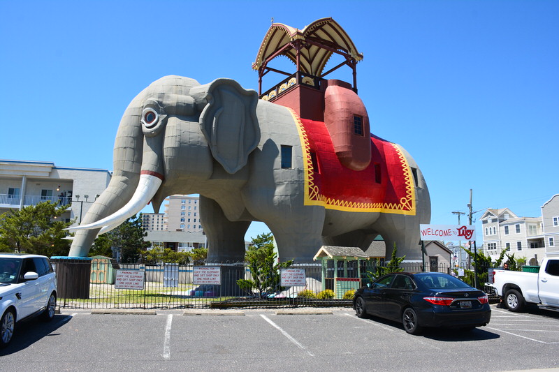 lucy the elephant