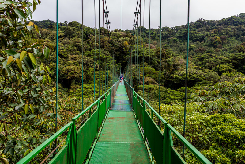 monteverde cloudforest