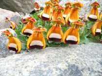 Calceolaria uniflora