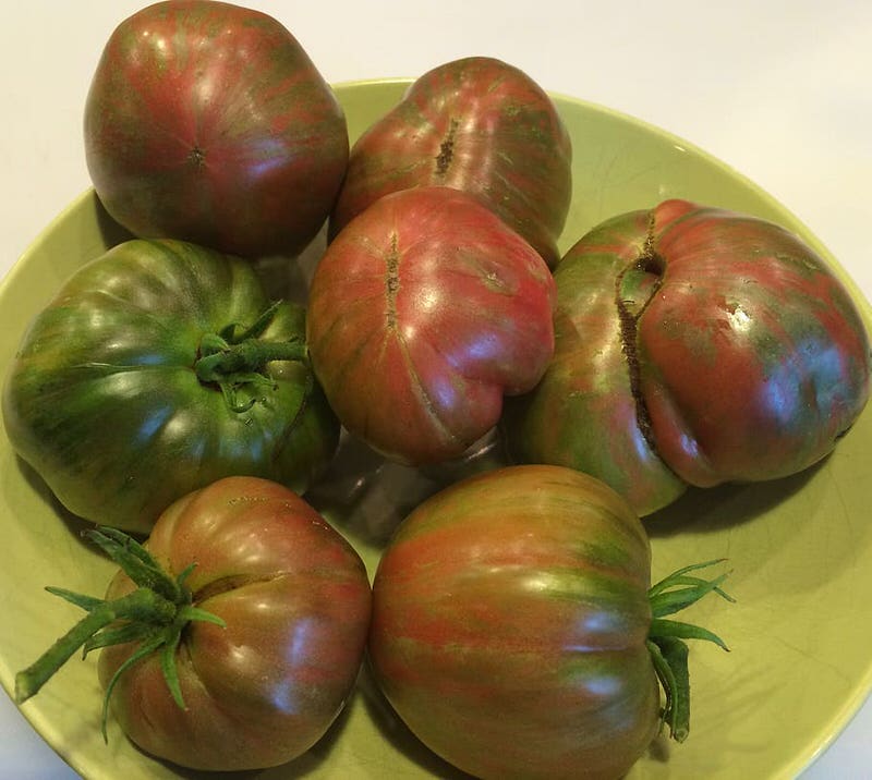 Cherokee Purple Tomato