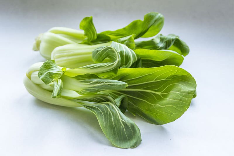 Pak Choi