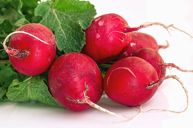 Radish