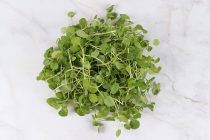 Watercress