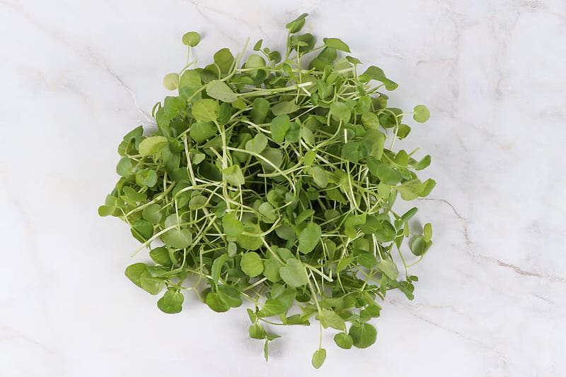 Watercress