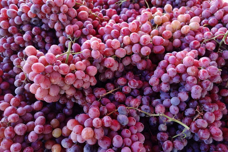 Grapes